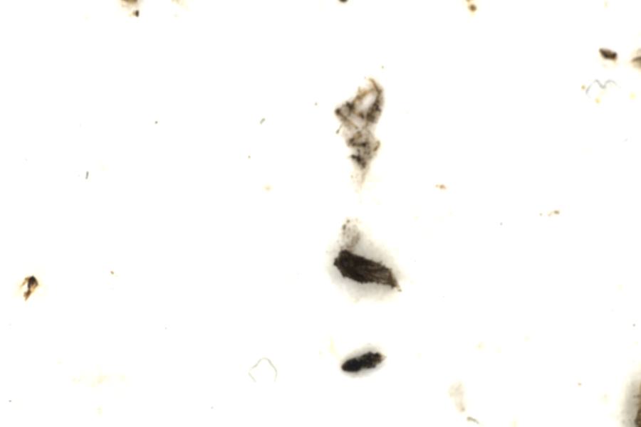 Image 214